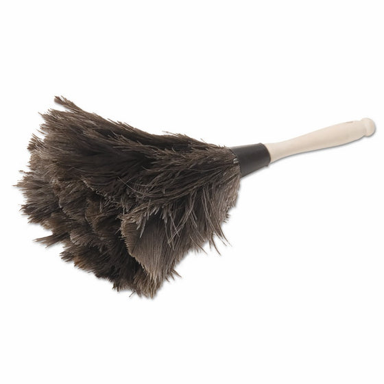 Boardwalk UNS 12GY BWK12GY Professional Ostrich Feather Duster, 4" Handle