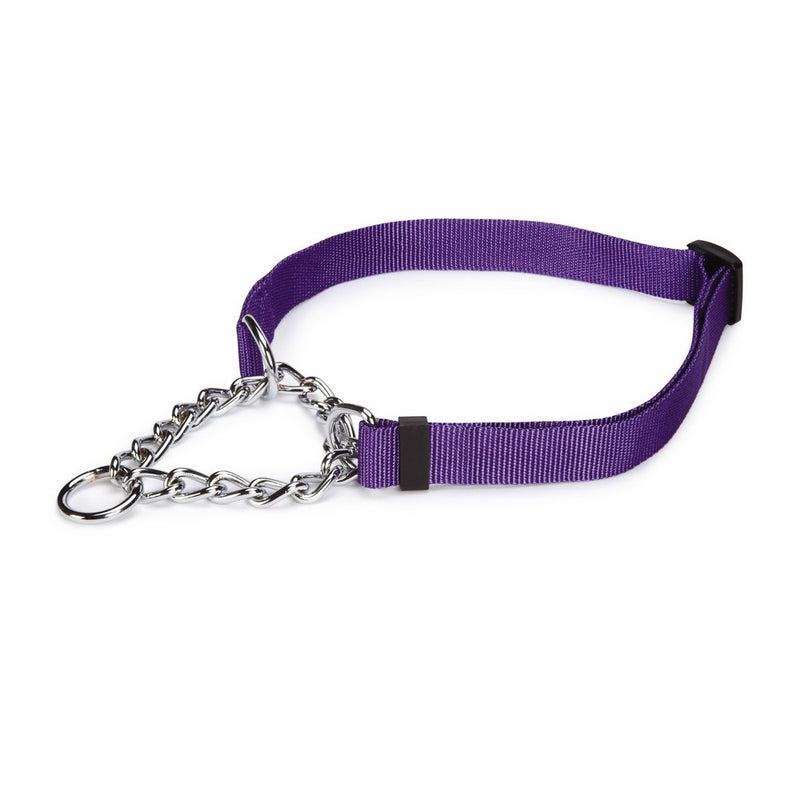 Guardian Gear Adjustable Martingale Choke-Style Dog Collar