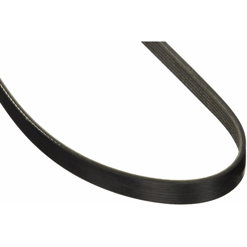 Motorcraft JK6664A V-Ribbed Belt