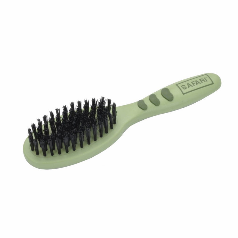 Safari Bristle Brush, Small