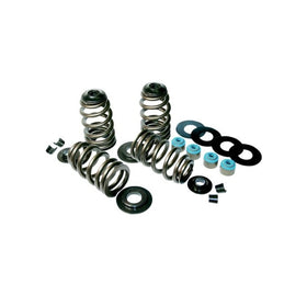 Feuling Econo Beehive Valve Spring Kit 1120