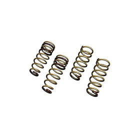 Tein SKY98-BUB00 High.Tech Lowering Spring for Lexus GS300/GS400/GS430