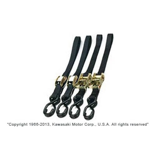 Ancra 45211-11 Black Quad Pak Tie Down