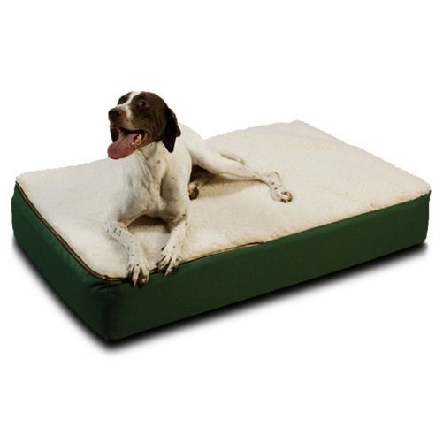 Snoozer Large Super Orthopedic Senior Dog Bed, Green with Cream Sherpa