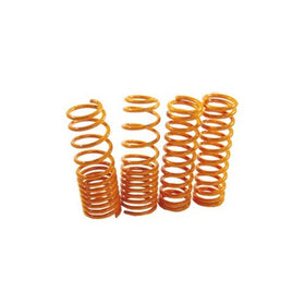 Megan Racing MR-LS-HC02SI Coilover Lowering Spring