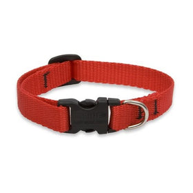 LupinePet Basics 1/2" Red 8-12" Adjustable Collar for Small Dogs