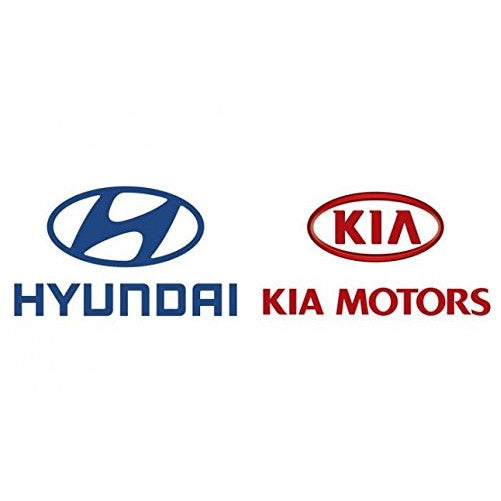 Genuine Hyundai 86132-2W000 Windshield Molding Assembly, Right