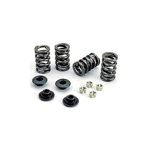 Crane 28308-1 Valve Spring and Retainer Kit