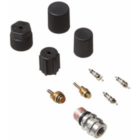 Four Seasons 26782 Cap & Valve Air Conditioning System Seal Kit
