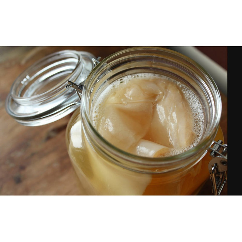 1 X Organic Kombucha Scoby - Live Culture by Scoby Kombucha