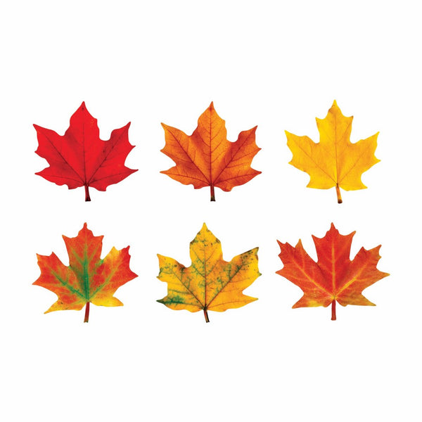 TREND enterprises, Inc. Maple Leaves Classic Accents Variety Pack, 36 ct