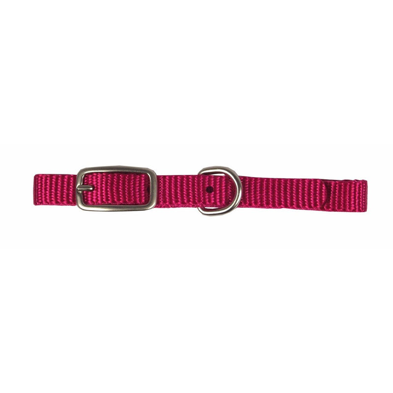 Hamilton B STE 12RS Single Thick Nylon Deluxe Dog Collar, 3/8 x 12-Inch, Raspberry
