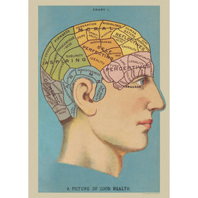 Poster of Phrenology Vintage Art Picture of Good Health
