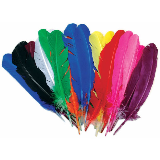 Zucker Feather Products Turkey Quill Value Pack, 25 Count