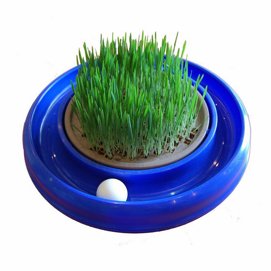 Bergan Turbo Accessories (Cat Grass)