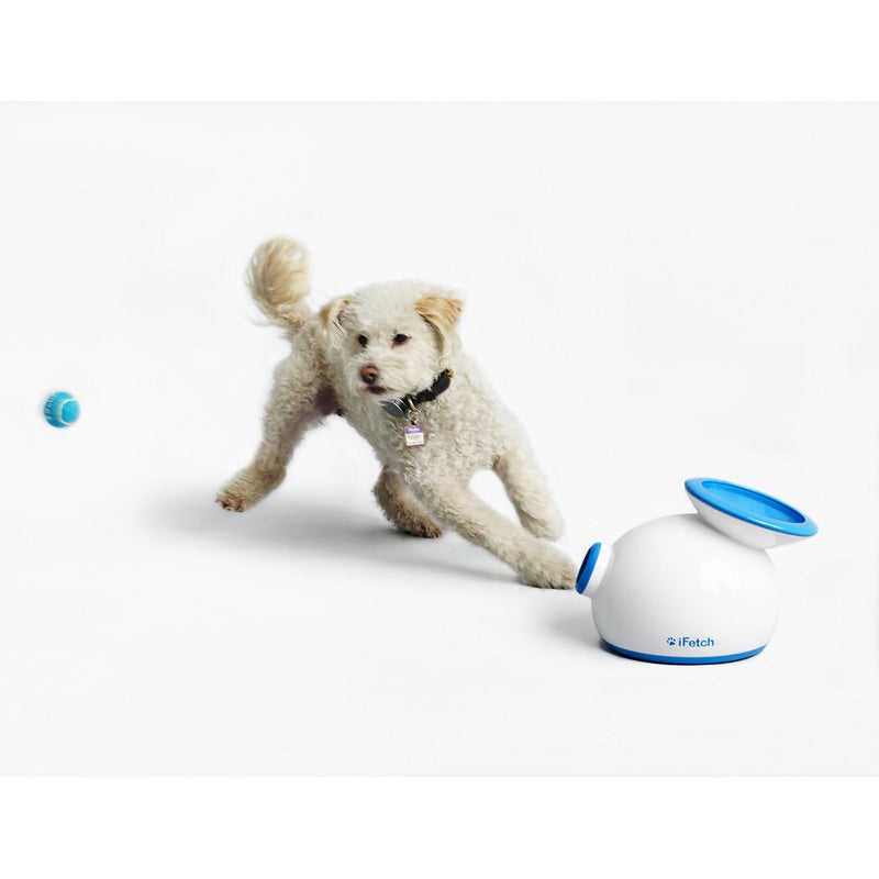 iFetch Interactive Ball Launcher for Dogs – Launches Mini Tennis Balls, Small