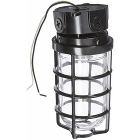 RAB Lighting VLX100DGB Vaporproof VLX 3" Ceiling Box Mount with Glass Globe and Cast Guard, A19 Type, Aluminum, 150W Power, 1/2" Hub, Black