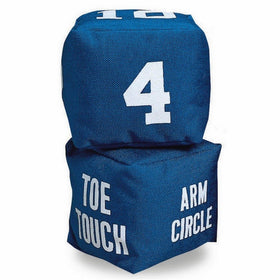 S&S Worldwide Fitness Dice (pair)