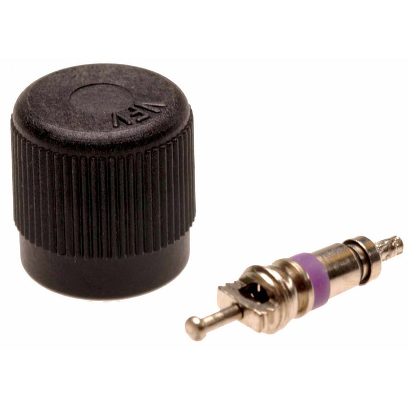 ACDelco 17113667 GM Original Equipment Fuel Injection Fuel Pressure Service Kit with Valve and Cap