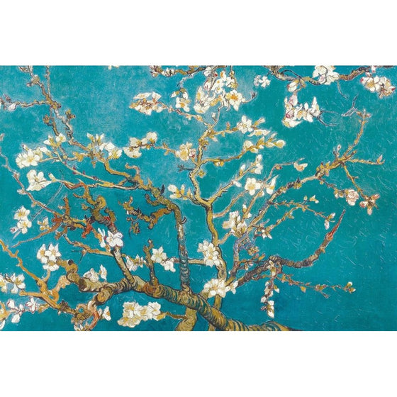 Laminated Almond Branches in Bloom, San Remy, c.1890 Poster by Vincent van Gogh 36 x 24in