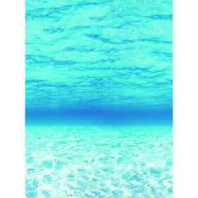 Pacon PAC56525 Fadeless Design Roll, 48" x 50', Under The Sea