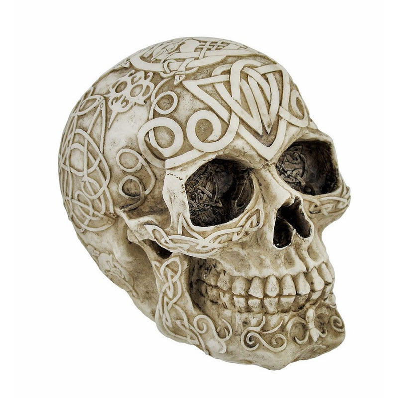 Celtic Owl Knotwork Human Skull Statue Pagan by Private Label