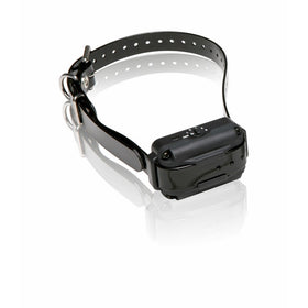 Dogtra EF3000 Dog Collar, Gold