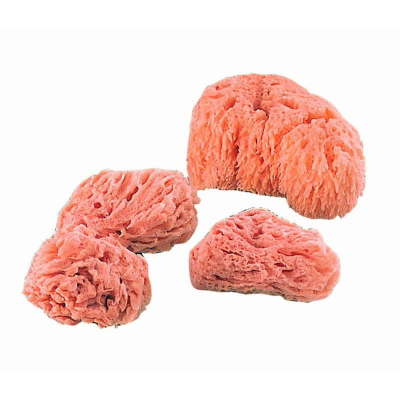 Multicraft Imports R2090 Natural Ocean Artist Sponges (4 Pack)