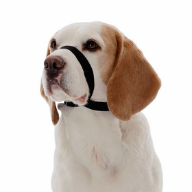 The Company of Animals Quiet Dog for Training Dogs, Black, Medium