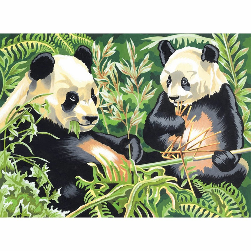 Reeves Large Acrylic Painting By Numbers - Panda
