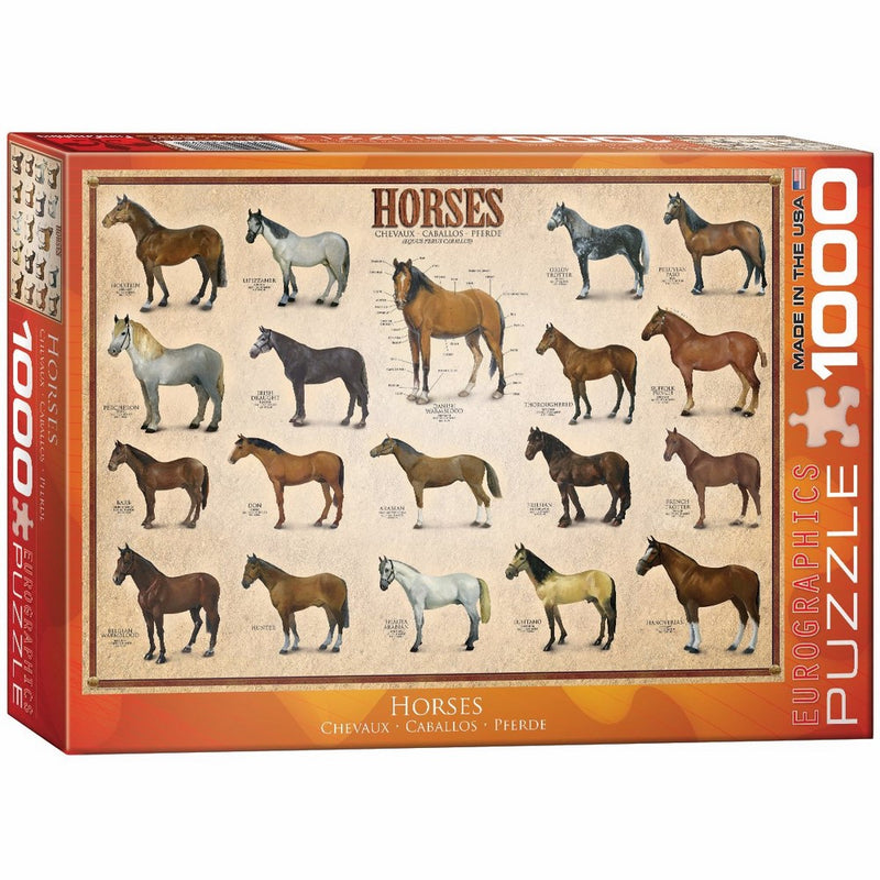 EuroGraphics Horses 1000 Piece Puzzle