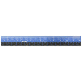 Victor EZ12PBL Plastic Dual Color 12" Easy Read Ruler with Inches, Centimeters and Millimeters Measurements, Blue/Black