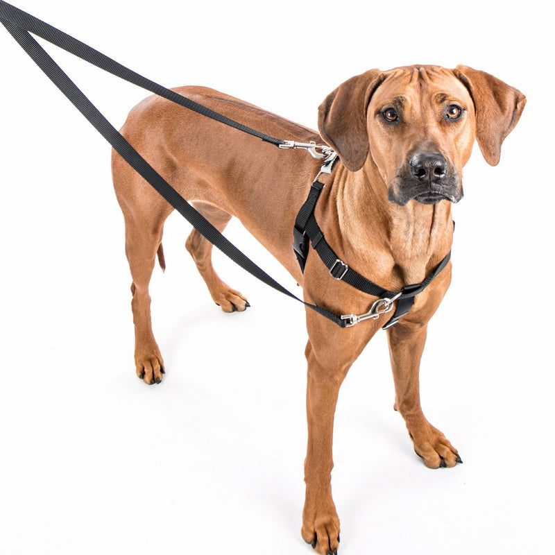 Freedom No-Pull Harness ONLY, Large Black