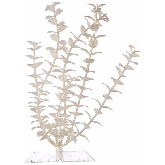 GloFish Bacopa Plant for Aquarium Environments, Large, White