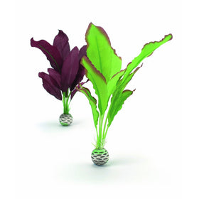 biOrb Silk Plant Pack, Medium, Purple/Green