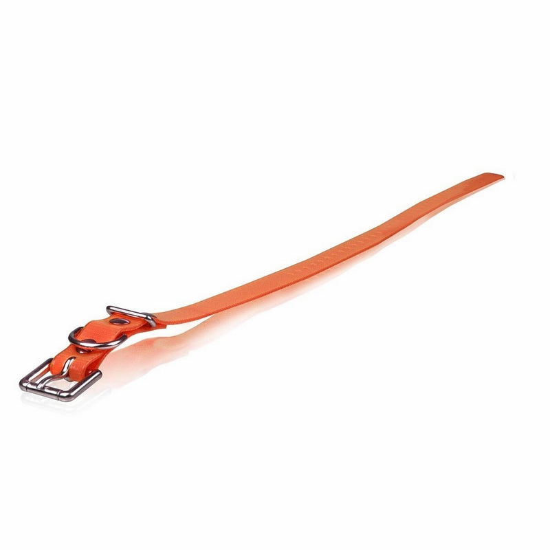 Dog Strap Size: 1" W x 24" D, Color: Orange