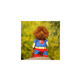 Alfie Pet by Petoga Couture - Superhero Costume Superman - Size: XS