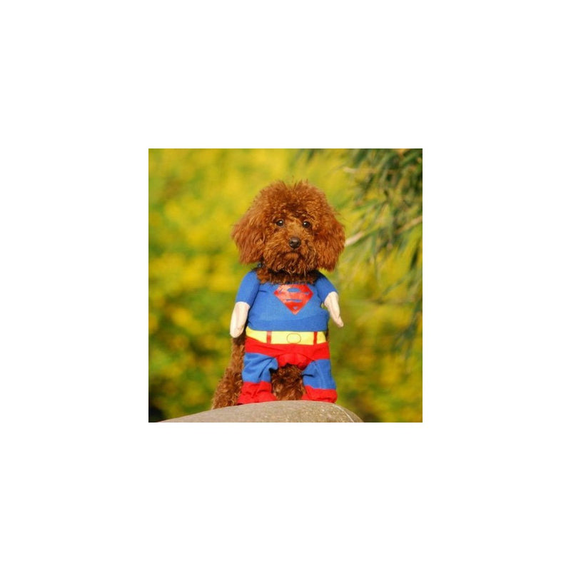 Alfie Pet by Petoga Couture - Superhero Costume Superman - Size: XS