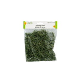 Floral Garden Reindeer Moss 24 CU IN (0.39 L)