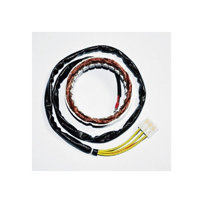 Ricks Motorsport Electric Stator 21-101