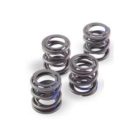 Andrews High Lift Valve Spring Set 272110