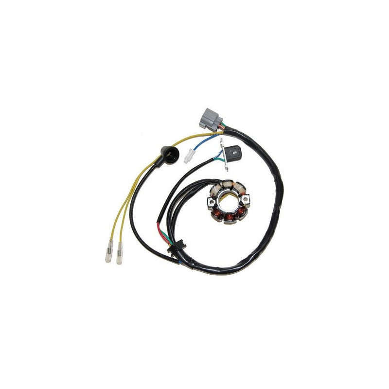 ElectroSport ESL730 Lighting Stator KXF250 - 50W