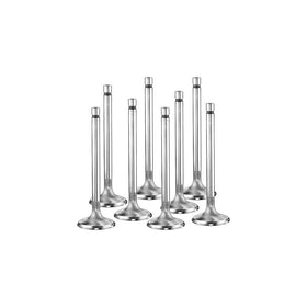 Manley 113658 Valves/Set8