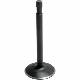 Kibblewhite Black Diamond Intake Valve 20-4169