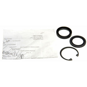Edelmann 8516 Power Steering Gear Box Lower Pitman Shaft Seal Kit