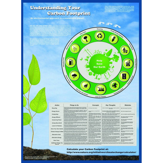 American Educational Understanding Your Carbon Footprint Poster, 38" Length x 26-1/2" width
