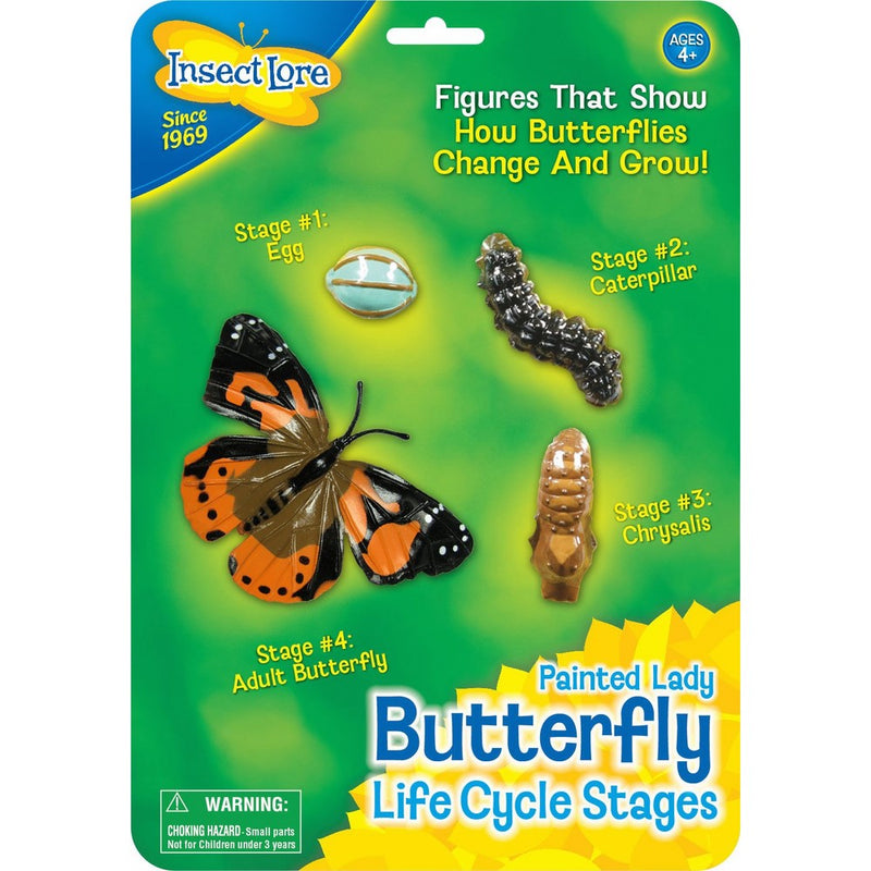 Butterfly Learning Toy - 4 Piece Set Shows Metamorphasis Of A Butterfly