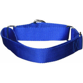 Guardian Gear Nylon Martingale Dog Collar, Fits Necks 18" to 26", Blue