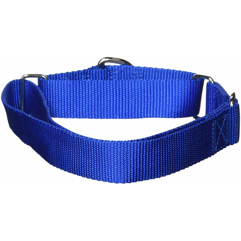 Guardian Gear Nylon Martingale Dog Collar, Fits Necks 18" to 26", Blue