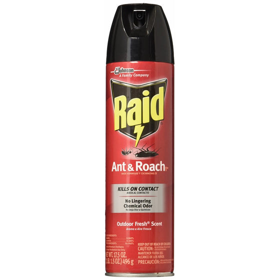 Raid Ant & Roach Killer Insecticide Spray-Outdoor Fresh - 17.5 oz